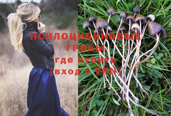 СК Баксан