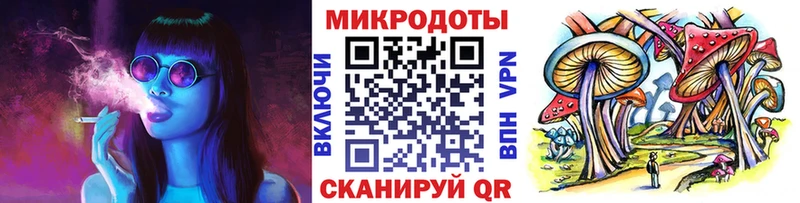 hydra ССЫЛКА  Светогорск  Галлюциногенные грибы Psilocybe  наркошоп 